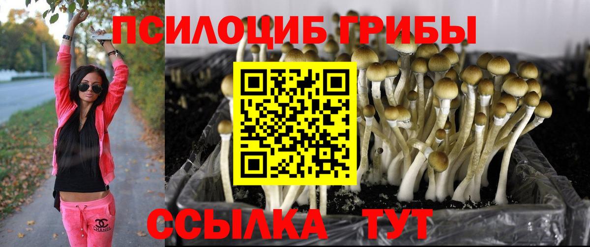 Биробиджан  Галлюциногенные грибы MAGIC MUSHROOMS  Вход с VPN 