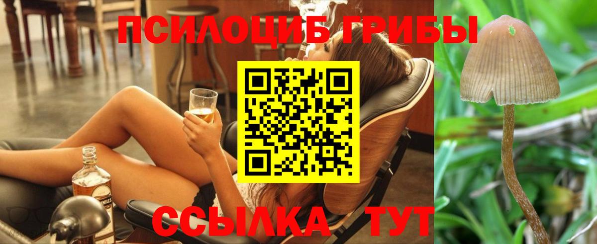 Псилоцибиновые грибы GOLDEN TEACHER Биробиджан